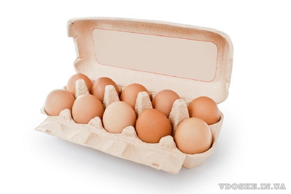 Купить оптом свежие куриные яйца в Днепре.