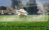 Агрохимические услуги: десикация подсолнечника сои квадрокоптером вертолетом агродроном дельтапланом