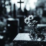 Ритуальні послуги в Харкові від Ritual Plus