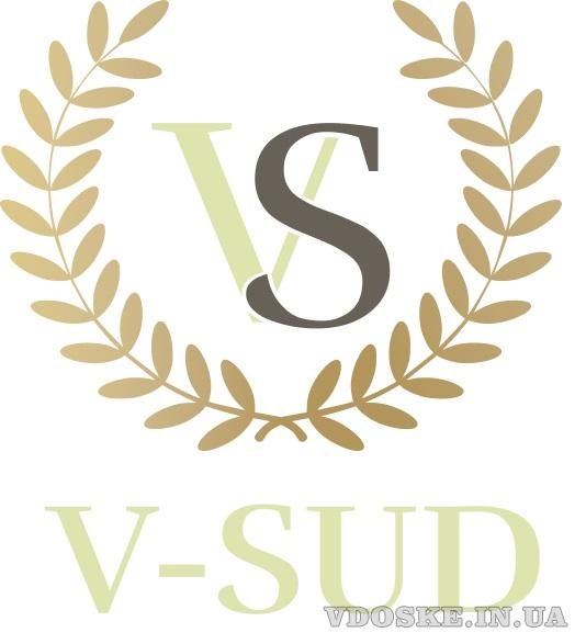 Юридическая компания V-sud