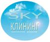 Skyклининг